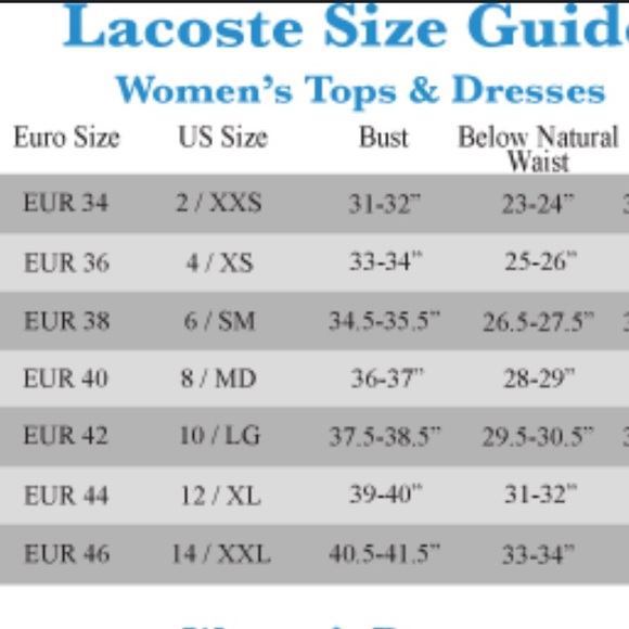 Lacoste Merino Wool Striped Turtleneck 36 (US XS) - Picture 12 of 12